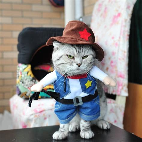 Cat Cowboy Costume Gadget Maverick