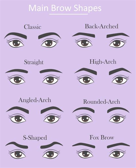 Common Eyebrow Shapes How To Find Your Perfect Brow Shape Eyebrows Eyebrow Shaping Perfect