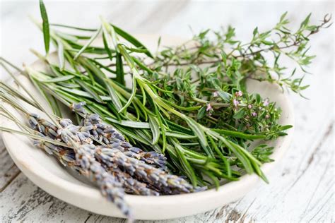 Fresh Herbs Storage Substitutions And Recipes