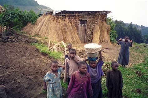 It has many unique, endemic species and is bursting with life. Why Is Rwanda Poor? Ways to Improve the Poverty Rate