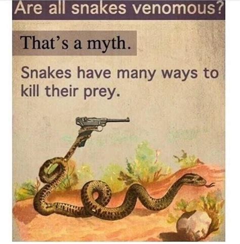 Theres A Snake In My Boot Funny Pictures Funny Quotes Hilarious