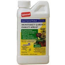 Malathion is also used to kill mosquitos. Thrips be gone - Cannabis Cultivation - Growery Message Board