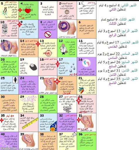 من علامات الحمل بولد في الشهر الثانى والثالث هى عدم ظهور غثيان الصباح بشكل حاد على عكس الحمل ببنت الذى يكون فيه غثيان الصباح شديد وعنيف ولكن من علامات الحمل بولد ان غثيان الصباح يكون خفيف ولايستمر كثيرا فى يظهر فى الثلث. التجمع ال (29) لأحلى حوامل التوأم الثنائي والثلاثي - عالم حواء