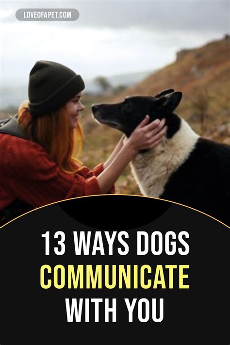 13 Ways Dogs Communicate With You Love Of A Pet In 2021 Dog Care