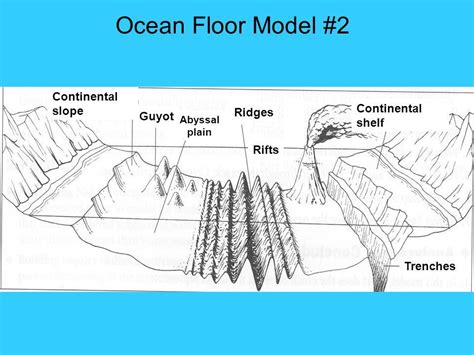 Ocean Floor Diagram To Label Alternator