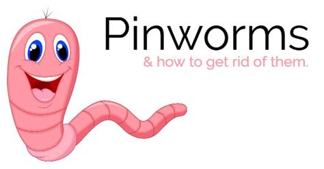 How To Get Rid Of Pinworms