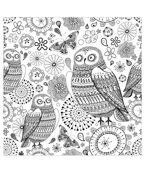 Owls Owls Adult Coloring Pages