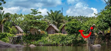 Suriname or surinam, officially known as the republic of suriname, is a country on the northeastern atlantic coast of south america. 16-daagse rondreis Suriname Compleet (Rondreis) - Suriname ...