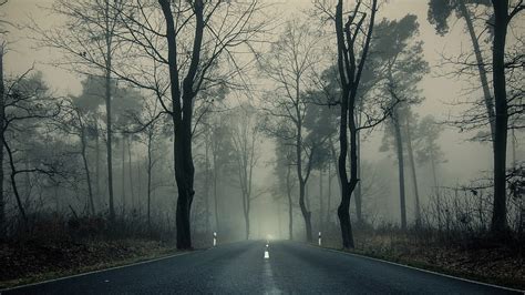 4k Free Download Foggy Forest Road Trees Darkness Mood Foggy