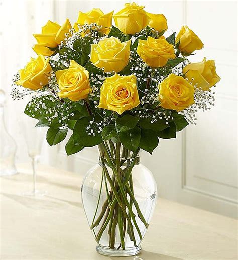 Rose Elegance Premium Long Stem Yellow Roses Arranged By A Florist In
