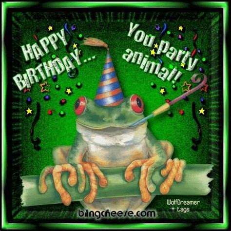 Birthday Frog Happy Birthday Frog Happy Birthday Pictures Happy