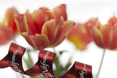 Der weltfrauentag ist in manchen ländern sogar ein gesetzlicher feiertag. Am 8. März ist wieder Internationaler Weltfrauentag | Der ...