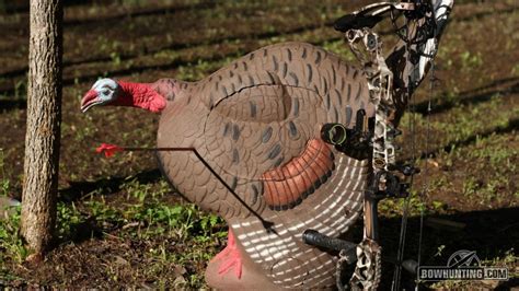 Whether you like to sit in a treestand and enjoy the outdoors or you're an adrenaline junkie looking to go up close and personal with a wild boar with a spear or a trophy gator with a bow…then seminole prairie safaris is your place. Kill Every Bird You Shoot At With These Simple Steps for ...