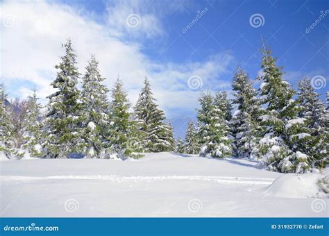 Beautiful Winter Mountainside Landscape Stock Photo Image Of Hoar