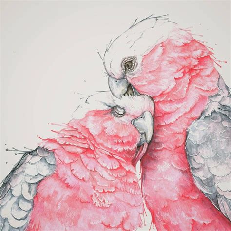 Galahs Australian Birds Pink Cockatoo Parrot Digital Printable Wall Art Bird Poster