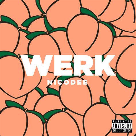 Werk Single By Nicodee Spotify