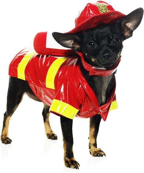 Fire Dog Costume Dogs Dressed Up Pinterest Animals Dog Pet Pet And Dog