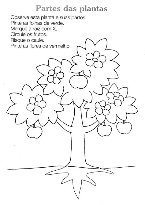 Atividades Sobre As Partes Das Plantas Para Educação Infantil-para Imprimir