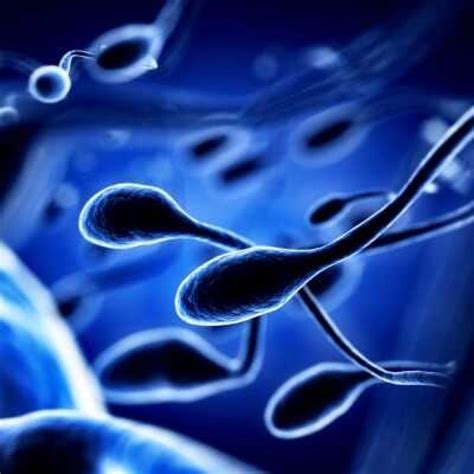 A vasectomia, por ser simples, segura e eficaz tem se tornado o método contraceptivo definitivo. Vasectomia Masculina | Cotanet