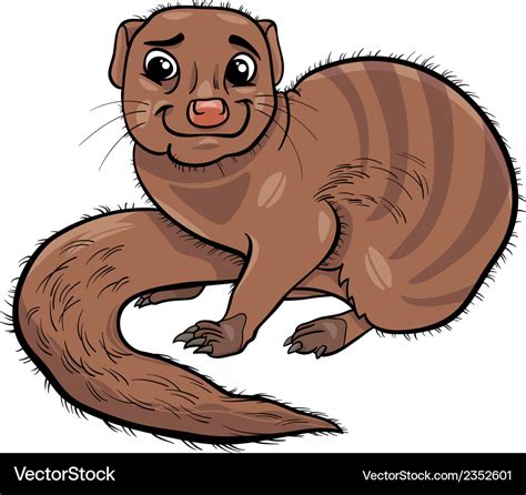Mongoose Animal Cartoon Royalty Free Vector Image