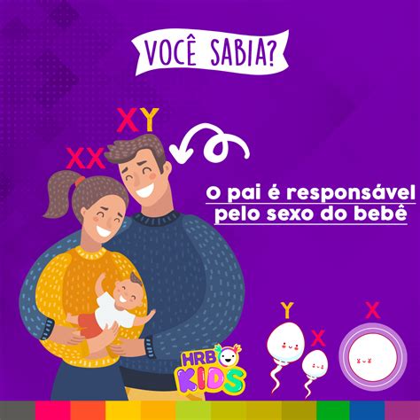 Quem Define O Sexo Do Bebê