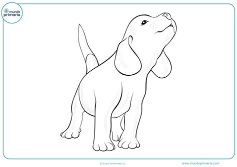 Maybe you would like to learn more about one of these? Dibujos de Perros para Colorear (A Lápiz y Fáciles)