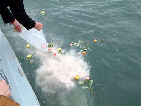 An aching body makes every activity more difficult, from getting through your daily grind to going to sleep at night. Methods of Scattering Cremated Ashes in the Sea in Toronto