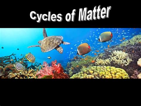 Cycles Of Matter Ppt Download
