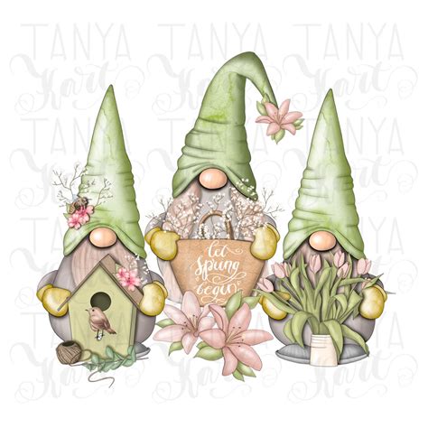 Spring Gnomes Gnome Png Sublimation Design Green Gnomes Etsy