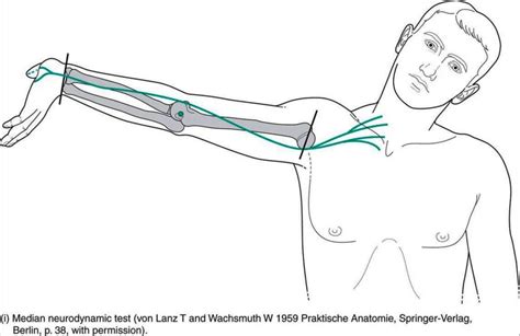Upper Limb Tension Tests Ultts Samarpan Physio