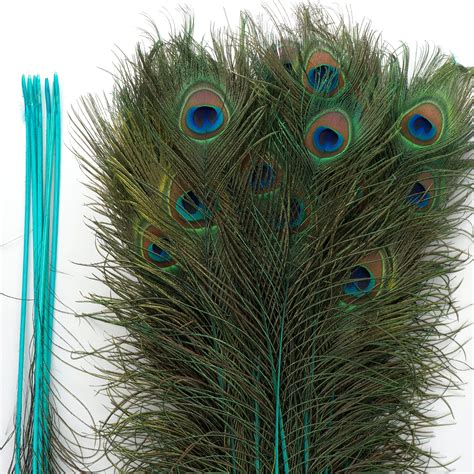 dyed peacock feathers 8 15 inches long stemdyed over natural peacock 5 to 100 feathers available