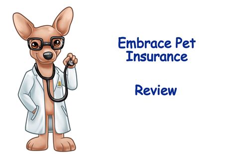 Embrace Pet Insurance Review