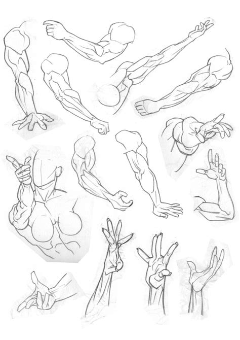 More Arms And Hands By Bambs79 On Deviantart Anime Drawing Books
