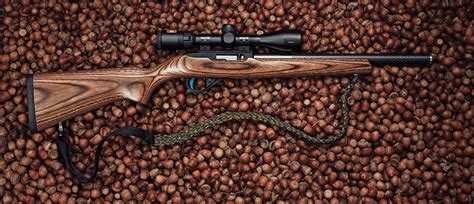 The Best Squirrel Gun For Hunting Field And Stream