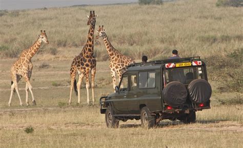 Kidepo Valley National Park In Uganda Uganda Safaris