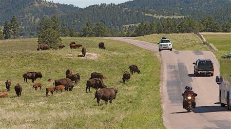 Shop our sporting and outdoors store online to find quality products. South Dakota: Top visitor attractions, sights, things to ...