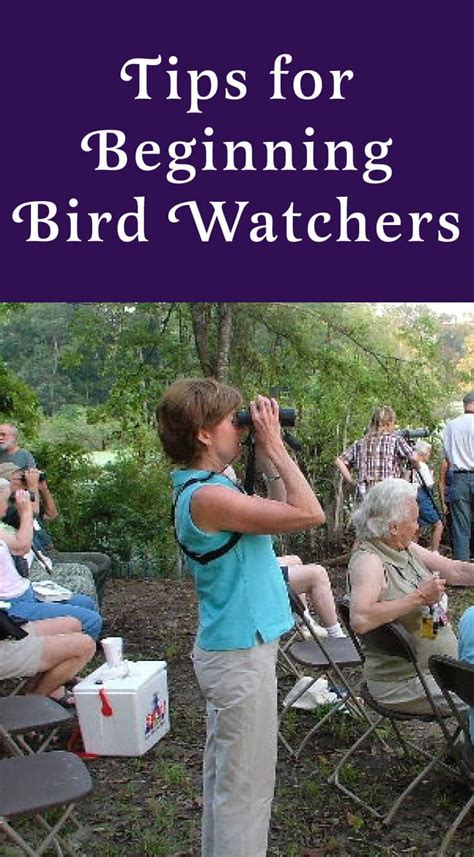 Tips For Beginning Birdwatchers How To Pick Binoculars Guide Books