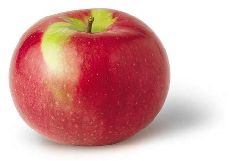 Can You Identify All 24 Apple Varieties Grown In Upstate Ny