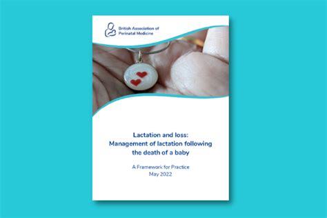 Framework For Practice Lactation And Loss British Association Of