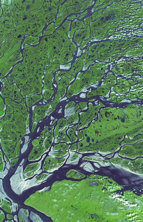 Aerial View Of The Lena River Siberia Russiathe Lena River Is The
