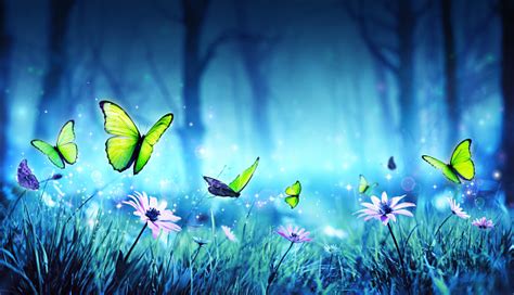 Fairy Butterflies In Mystic Forest Stock Photo Download Image Now