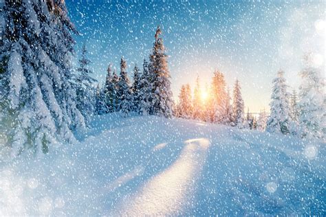 Fresh Winter Snow Wallpapers Wallpaper Cave