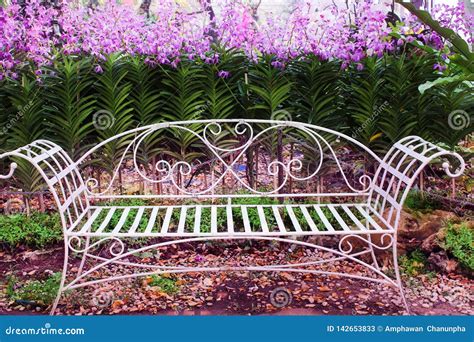 Old White Iron Bench In Garden With Colorful Flowers Purple Orchids