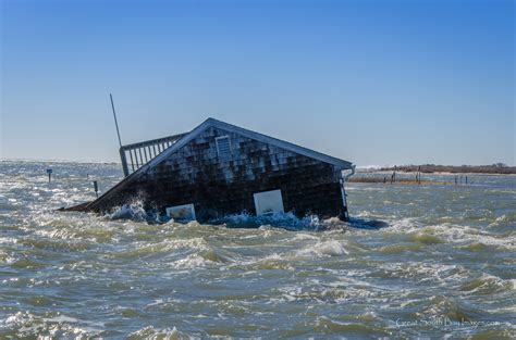 New York Times Tours Old Inlet With Save The Great South Bay And Great