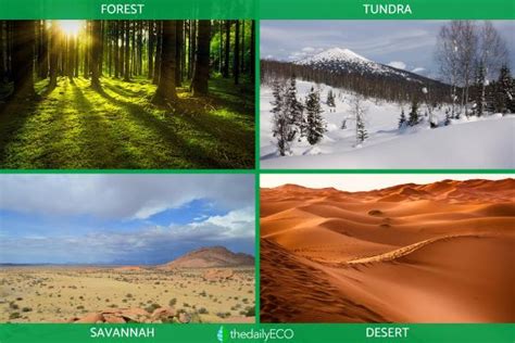 Natural Regions Definition And Examples Of Geographical Units