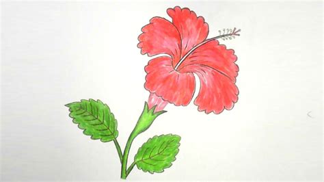 How To Draw Hibiscus Flower Step By Step Very Easy Youtube
