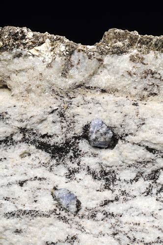 石の記憶――岩石を通して太古の地球と語る 多摩てばこネット