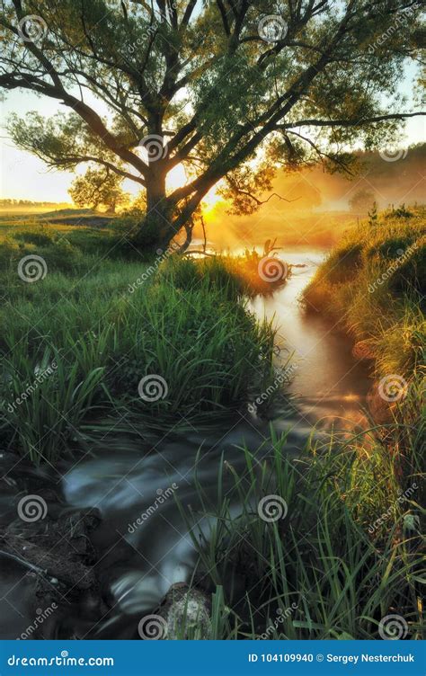 Spring Morning A Picturesque River Stock Photo Image Of Silence