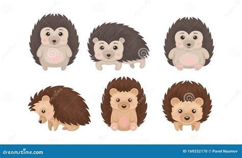 Cute Hedgehogs In Various Poses Vector Set Friendly Forest Creature