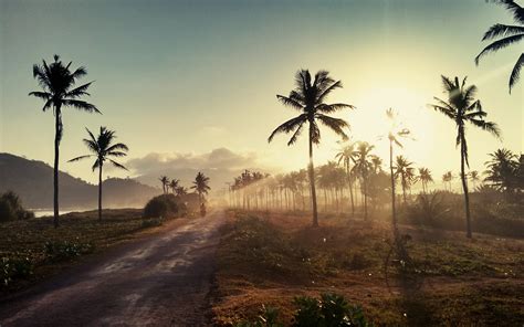 1920x1200 Palm Road Sunset 1200p Wallpaper Hd Nature 4k Wallpapers